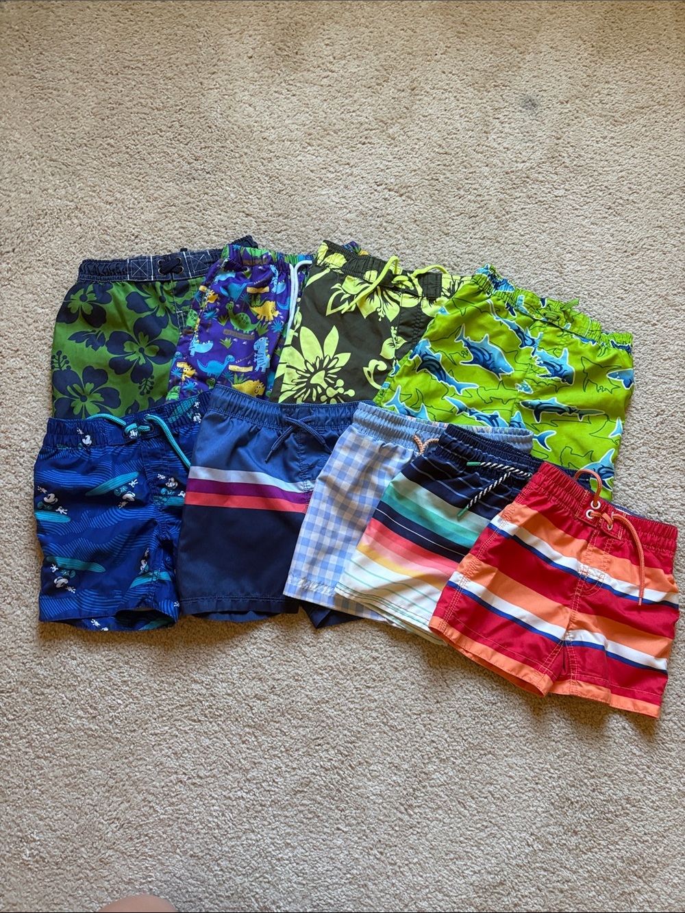 2T Swim Bundle